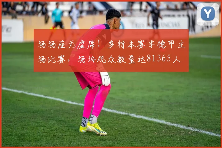 场场座无虚席！多特本赛季德甲主场比赛，场均观众数量达81365人